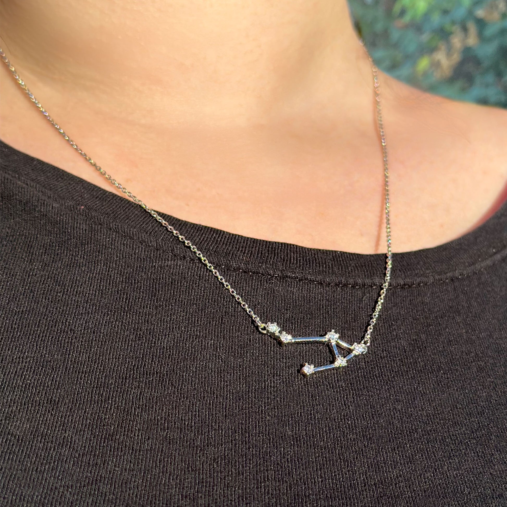Sterling Silver Zodiac Constellation Necklace Astrology Horoscope Keepsake Card Gift For Women - Choose Star Sign
